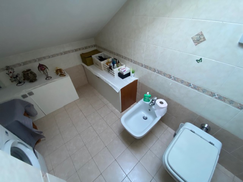 image7.jpeg