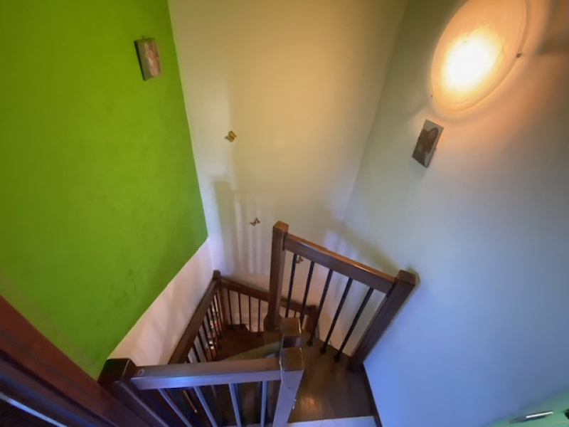 image5.jpeg
