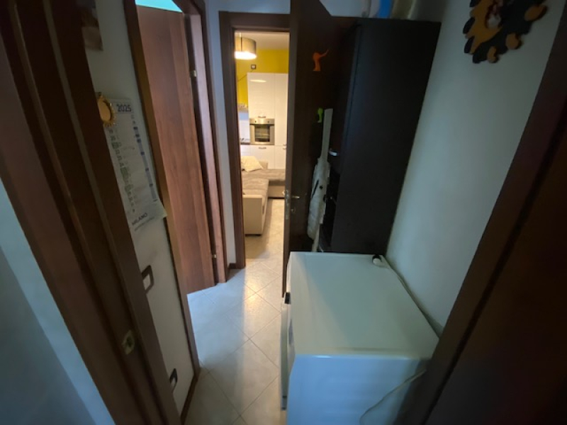 image12.jpeg
