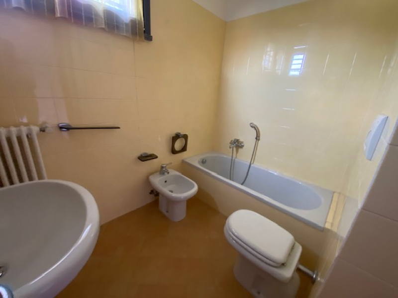 image12.jpeg