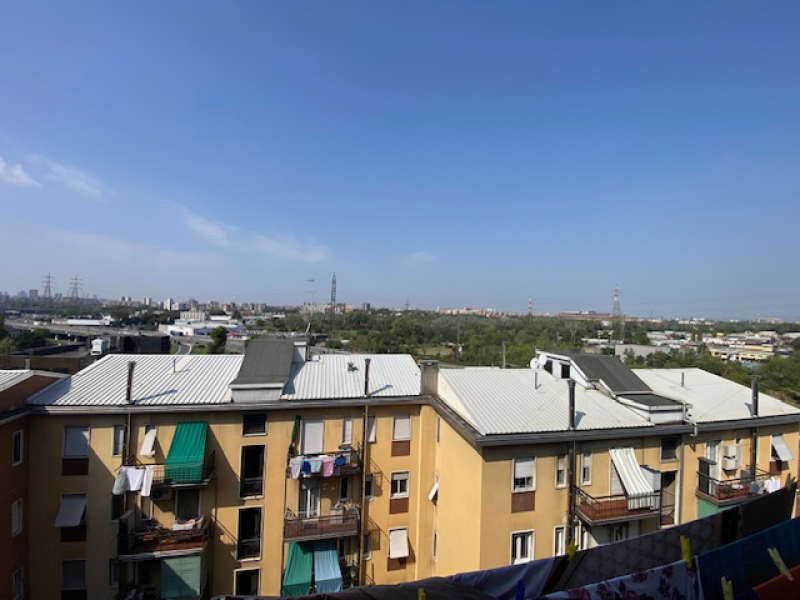 IMG_7361.jpg